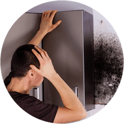Locating Mold In House Jacksonville FL