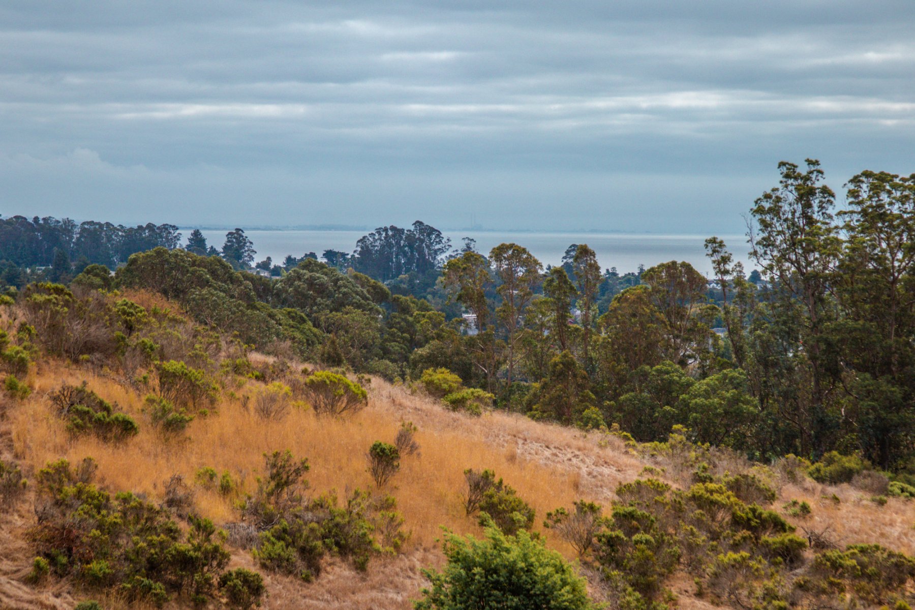 Homes For Sale In Soquel, California