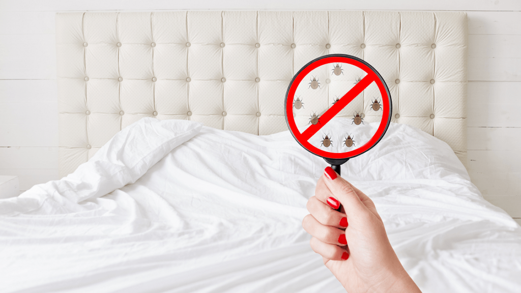 Selling House with Bed Bugs