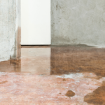 Sell House Leaky Basement