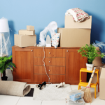 Medicare hoarder cleanup