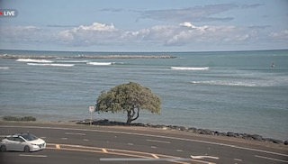 still shot from the kahului harbor surf cam in maui hawaii provided by maui home buyers