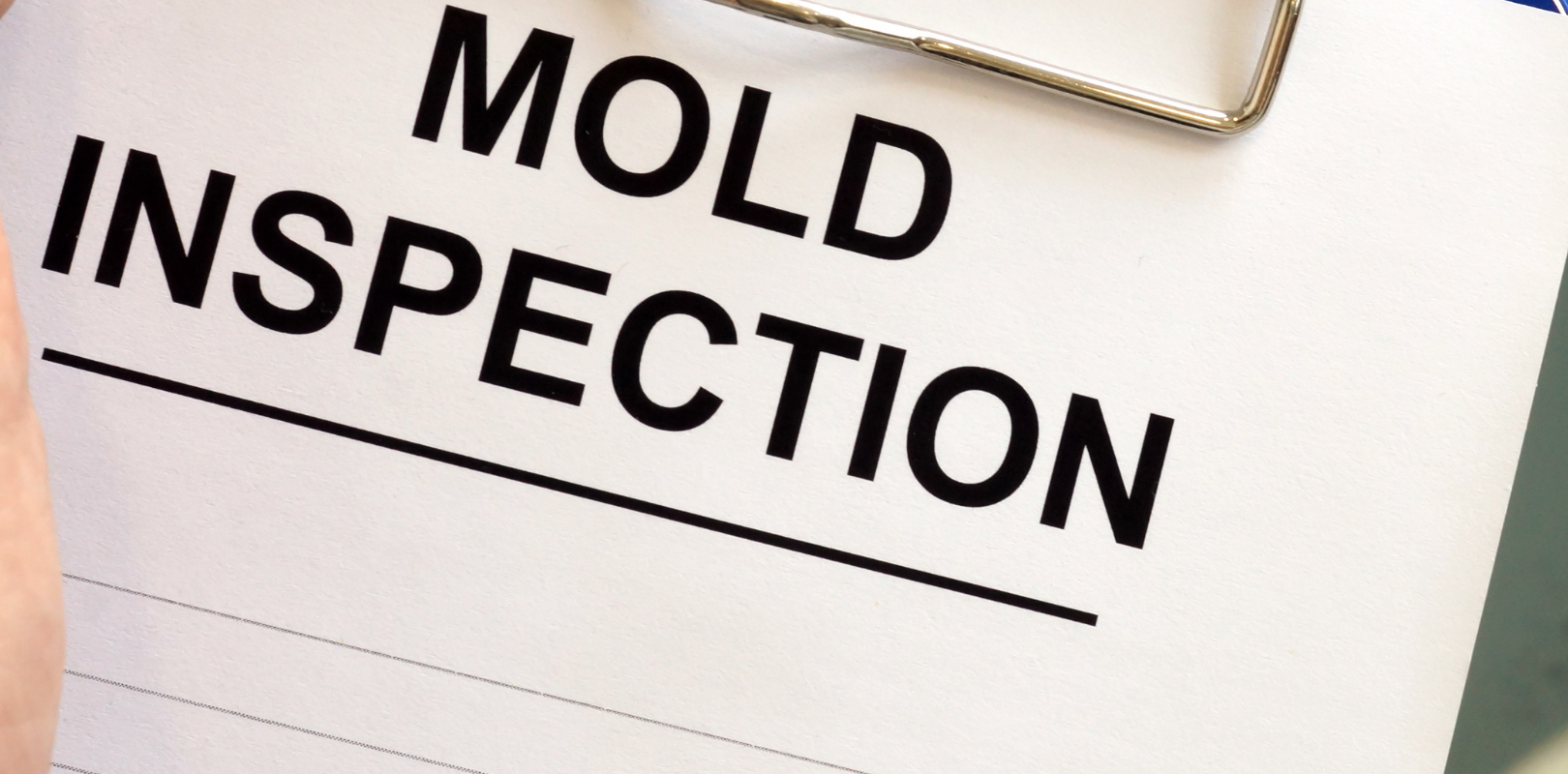 Sell Your House With Mold in Long Island