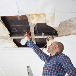 Sell a House Fast With Mold in Long Island