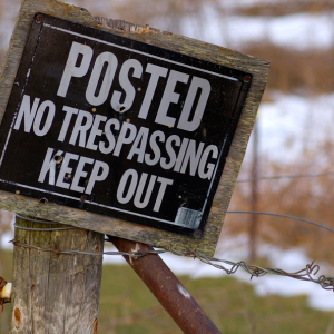 Squatter Rights in New York