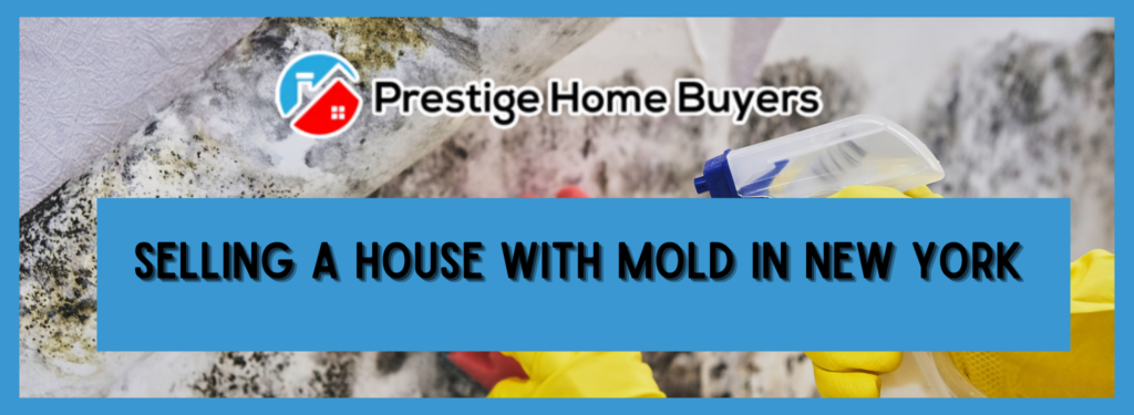 We Buy House With Mold in Long Island