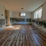 mold inside the house