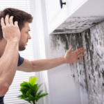 Can You Sell a House With Mold?