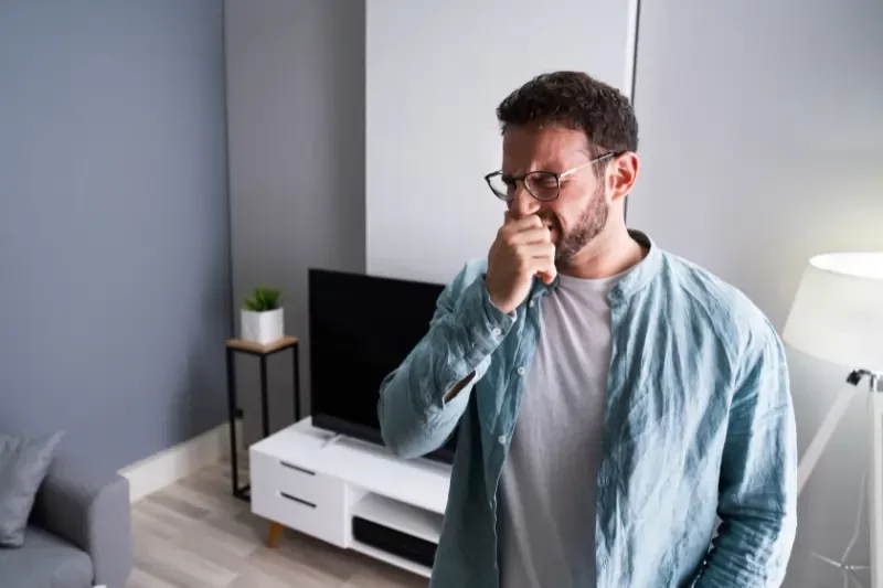 How to Get Rid of Old House Smell Expert Tips