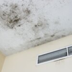 how to sell house with mold