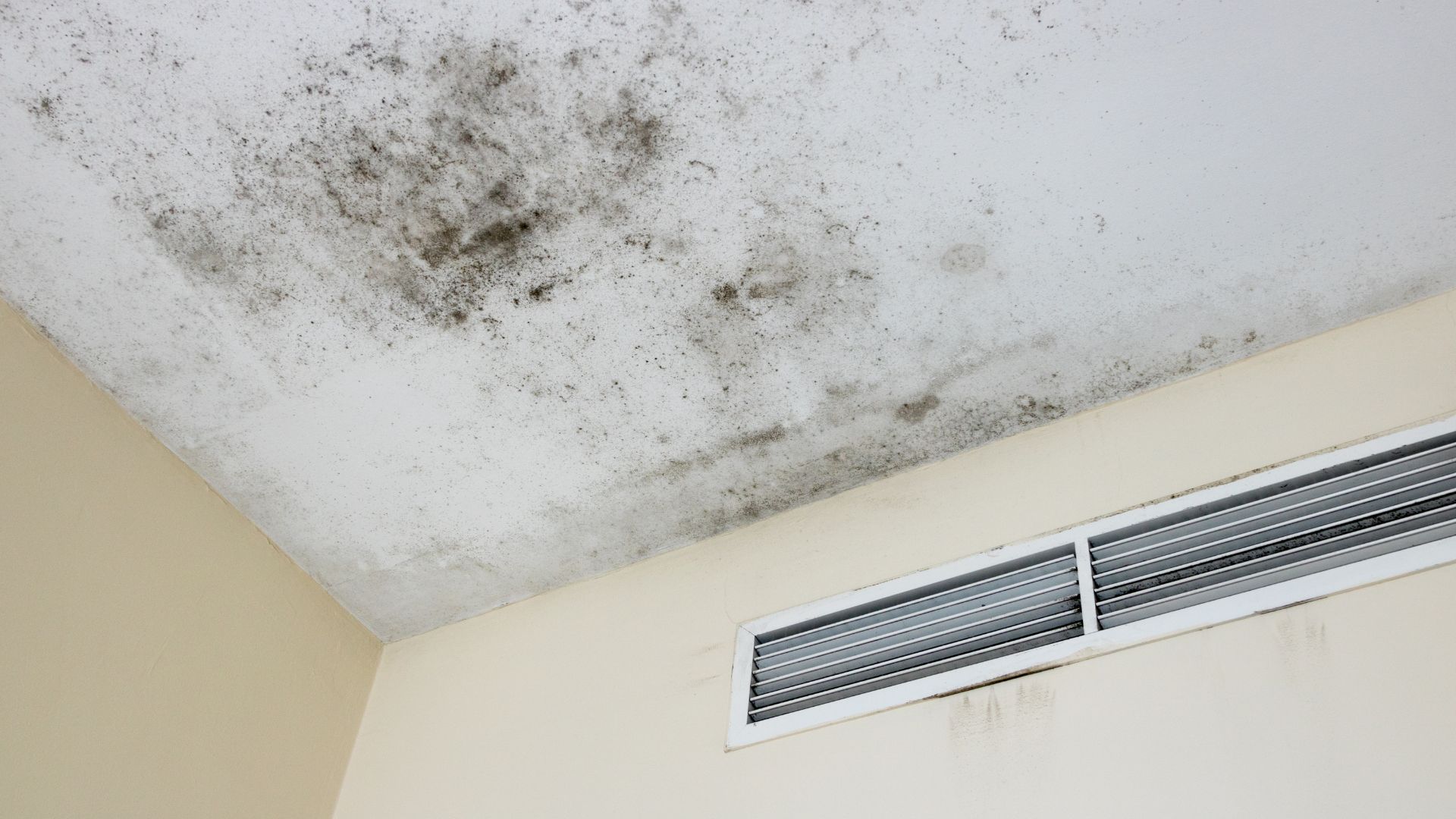 how to sell house with mold