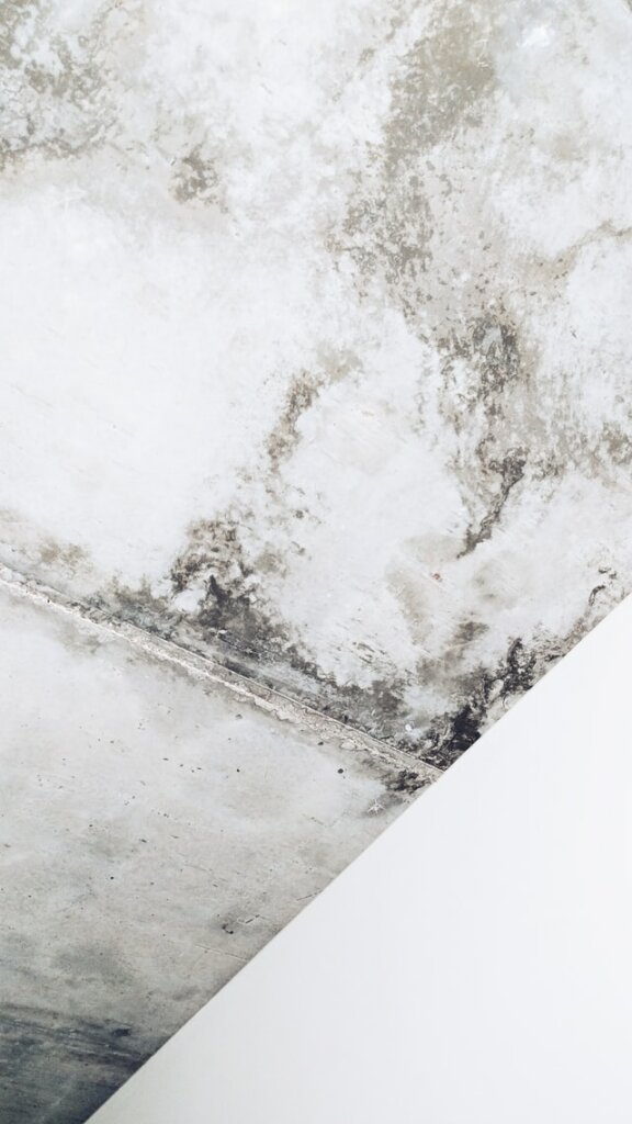 house with mold on the ceiling