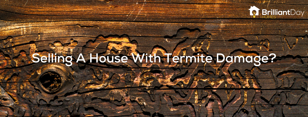 we buy houses damaged by termites in Houston