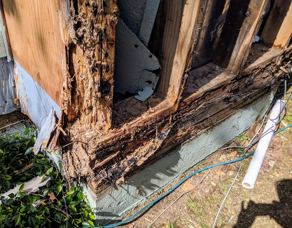 termite damage in houston texas