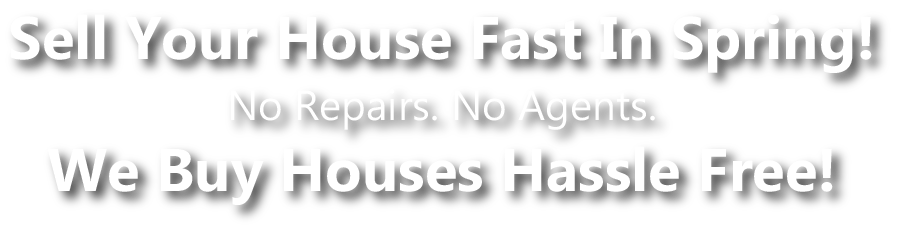 spring house buyers