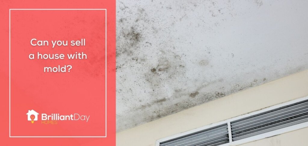 selling a house with mold