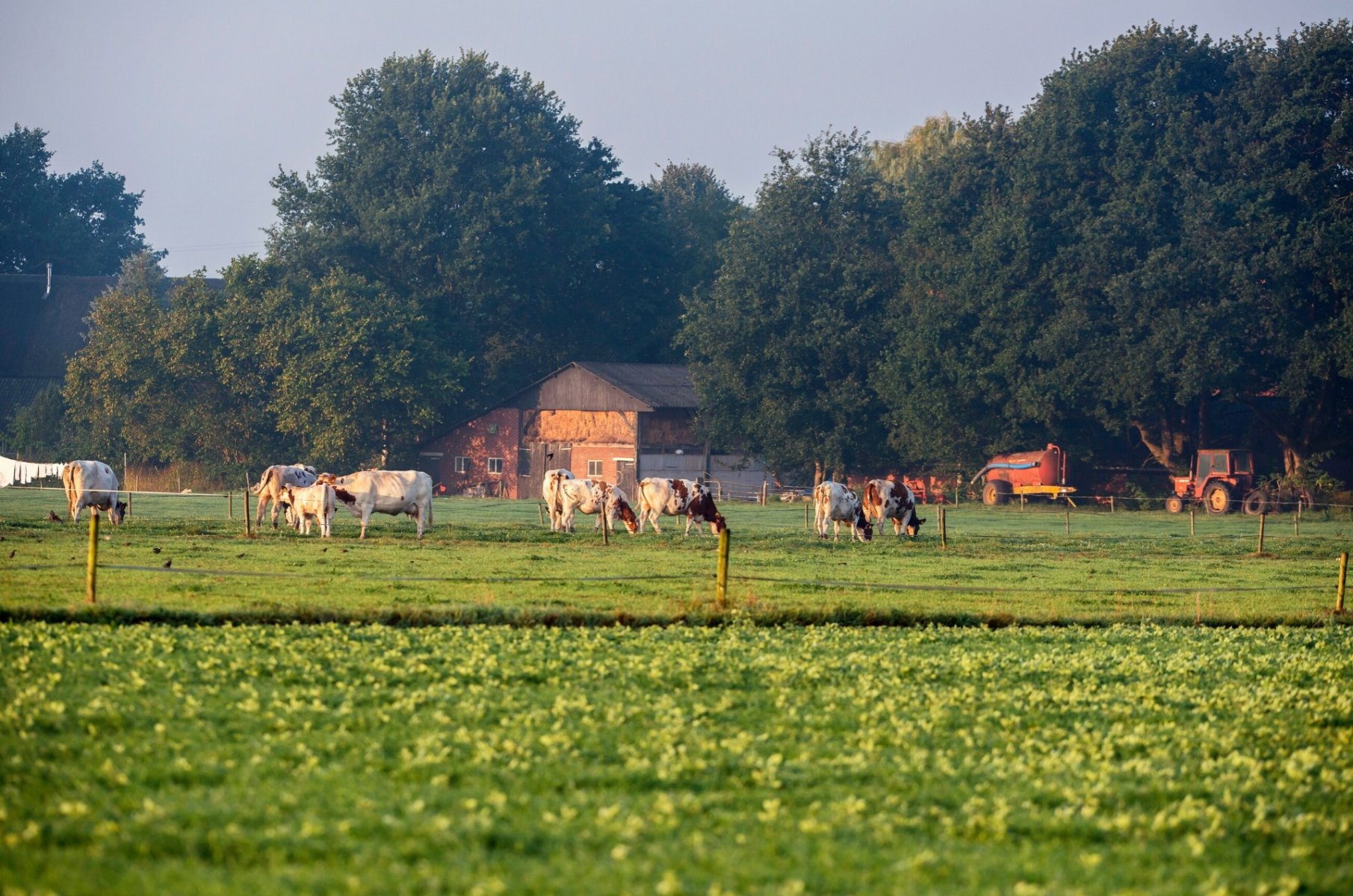 Farm land for sale in Northern Virginia Jonathan Kennedy Realtor