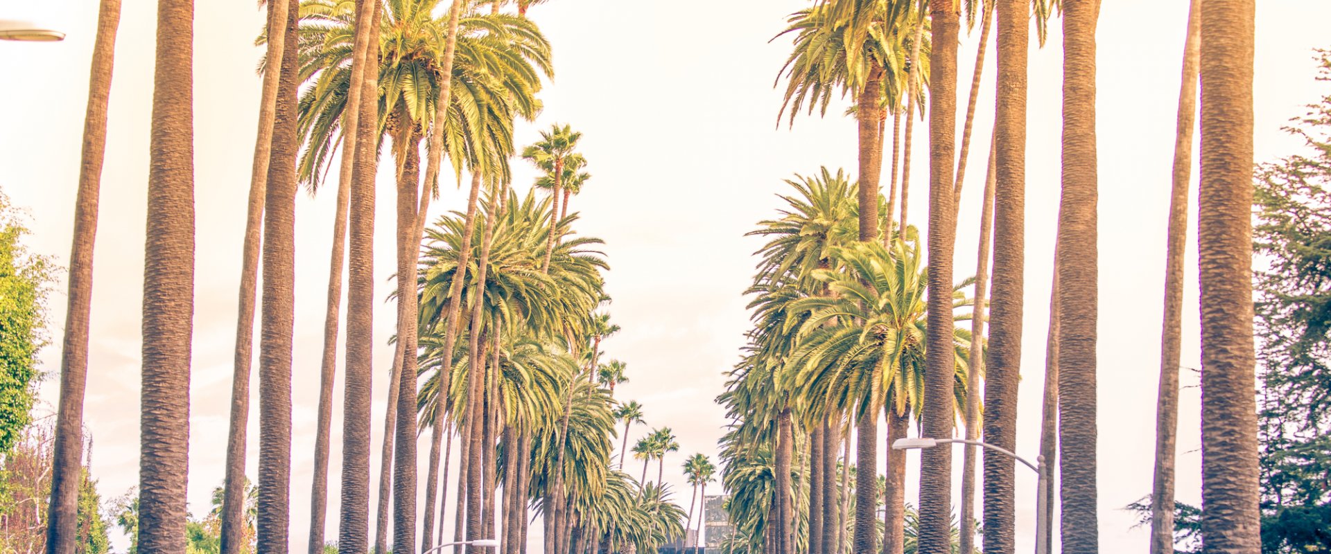 Sell m house fast santa ana