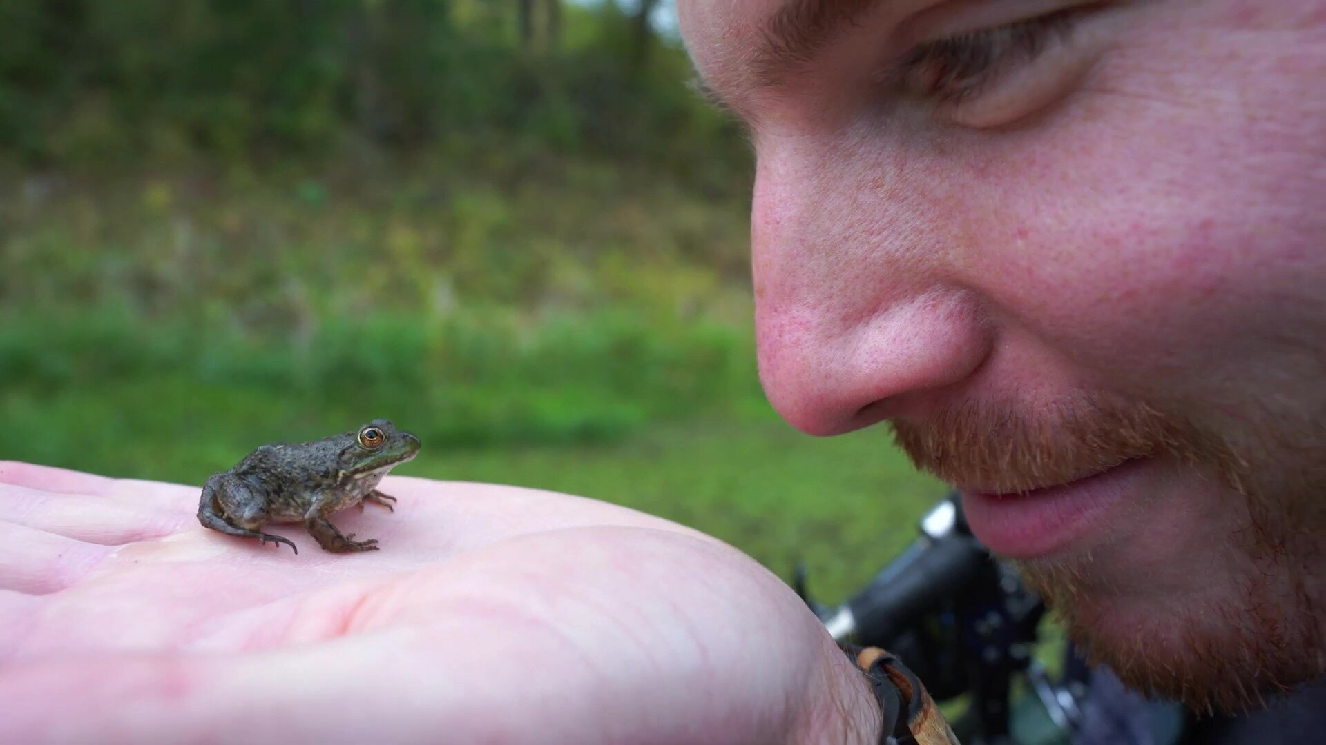 Cooper Creek Sutherlin Oregon