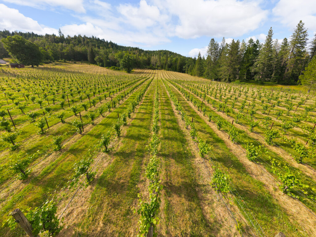 Southern Oregon Winery