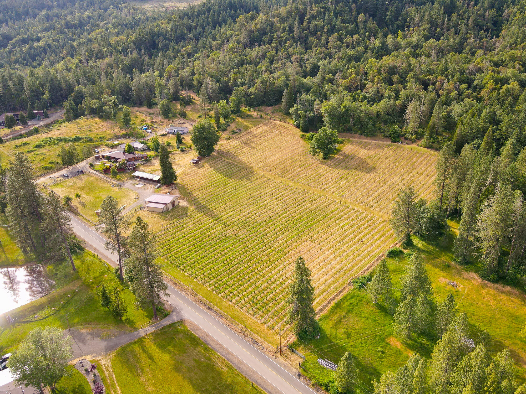 Southern Oregon Winery