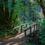 Hiking