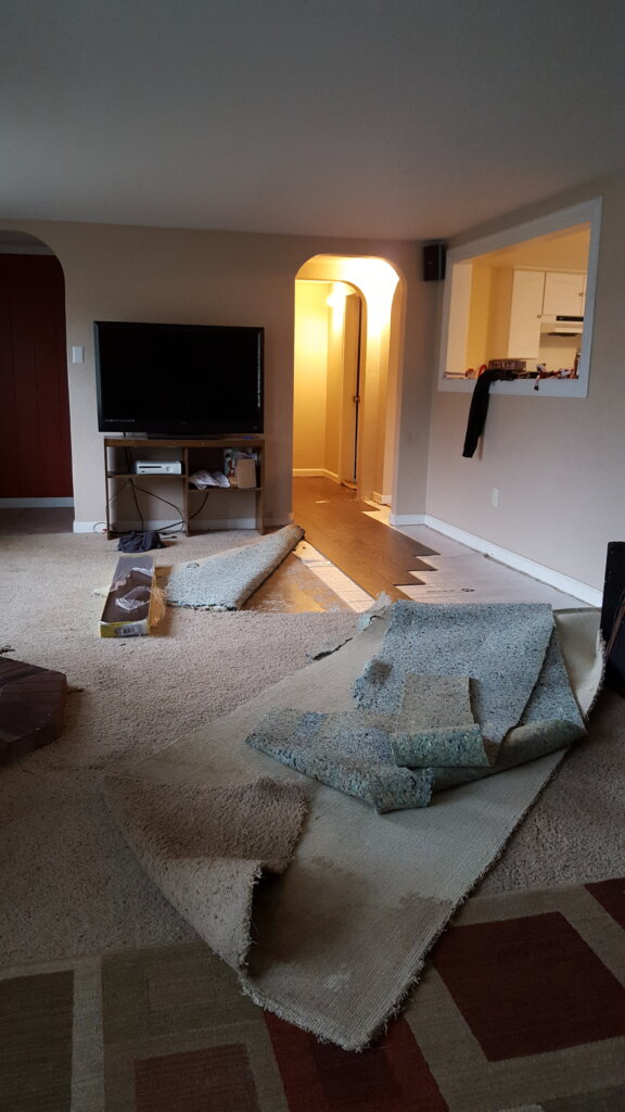 The First Investment Remodel