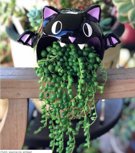 bat planter