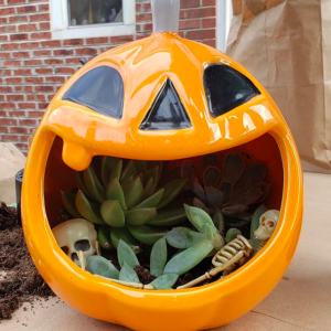 pumpkin planter