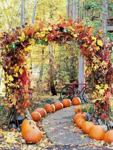 fall maintenance walkways