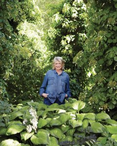 fall gardening