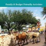 Best Things To Do In Fort Worth TX With Kids