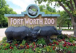 Fun Things To Do In Fort Worth TX