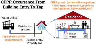 Complete Home Inspection Checklist For Buyers