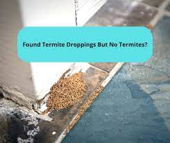 Found Termite Droppings But No Termites
