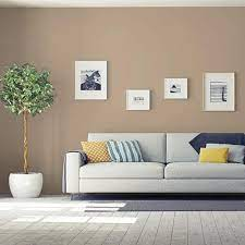 What Color Walls Go With Dark Wood Trim