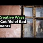 Sneaky Ways To Get Rid Of Bad Tenants