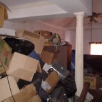 An Actual House I got back when the tenants moved