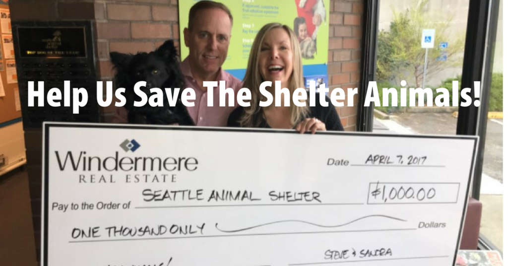 rescue pet adopt brennerhill