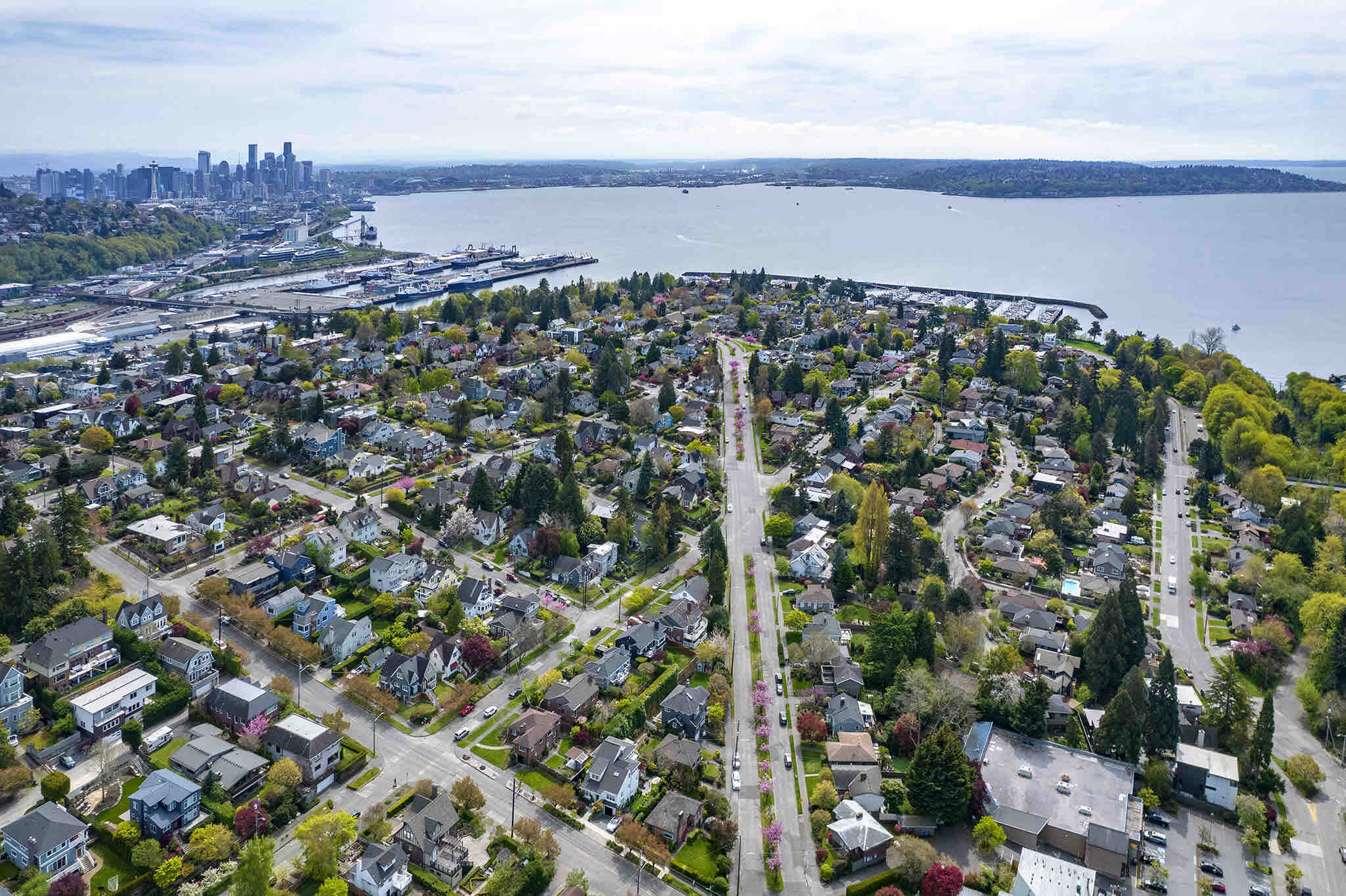 Magnolia neighborhood