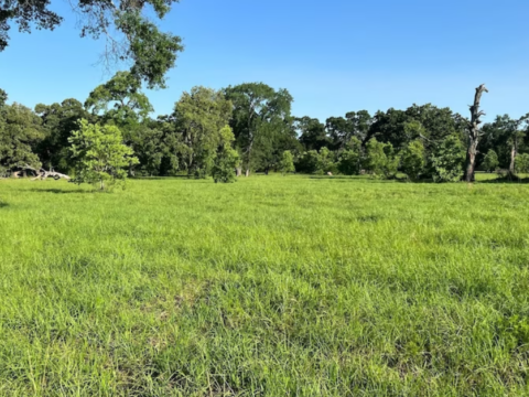 46 Acres of Land for Sale in Hockley, Texas