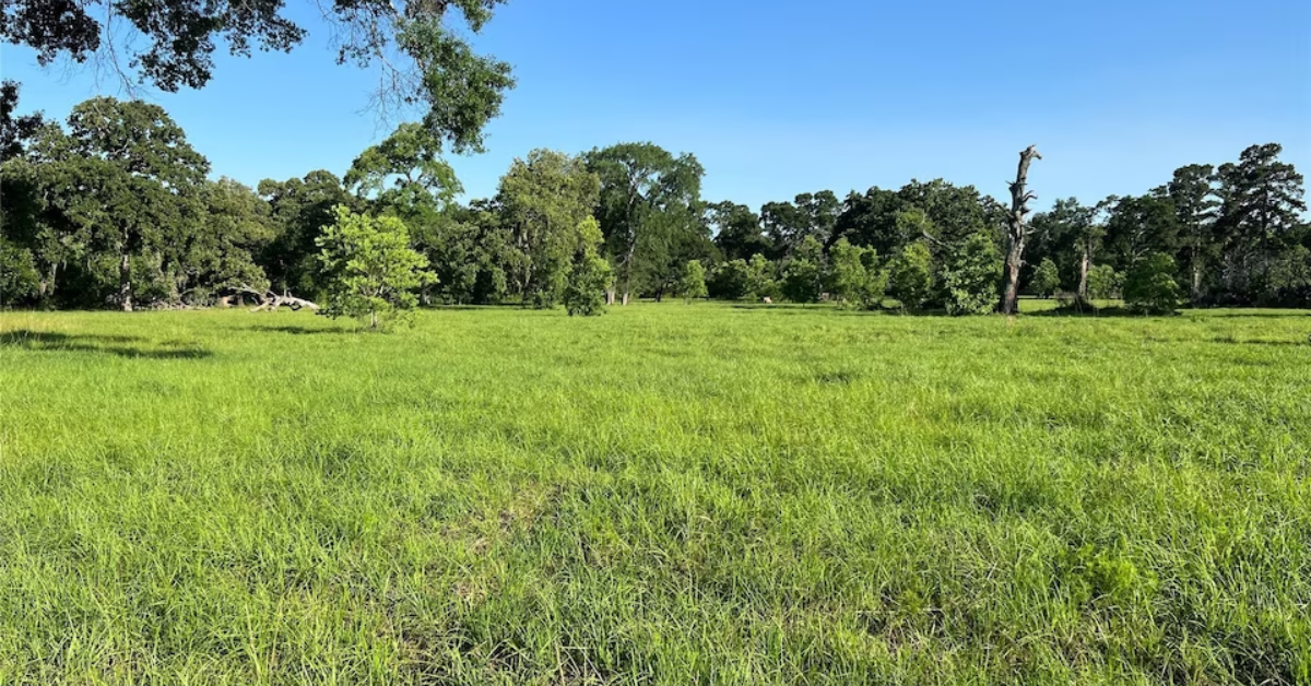 46 Acres of Land for Sale in Hockley, Texas
