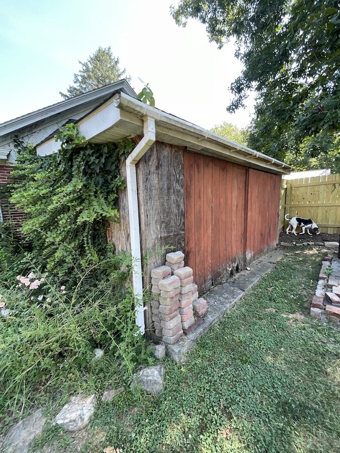 Overgrown House in Need of New Siding