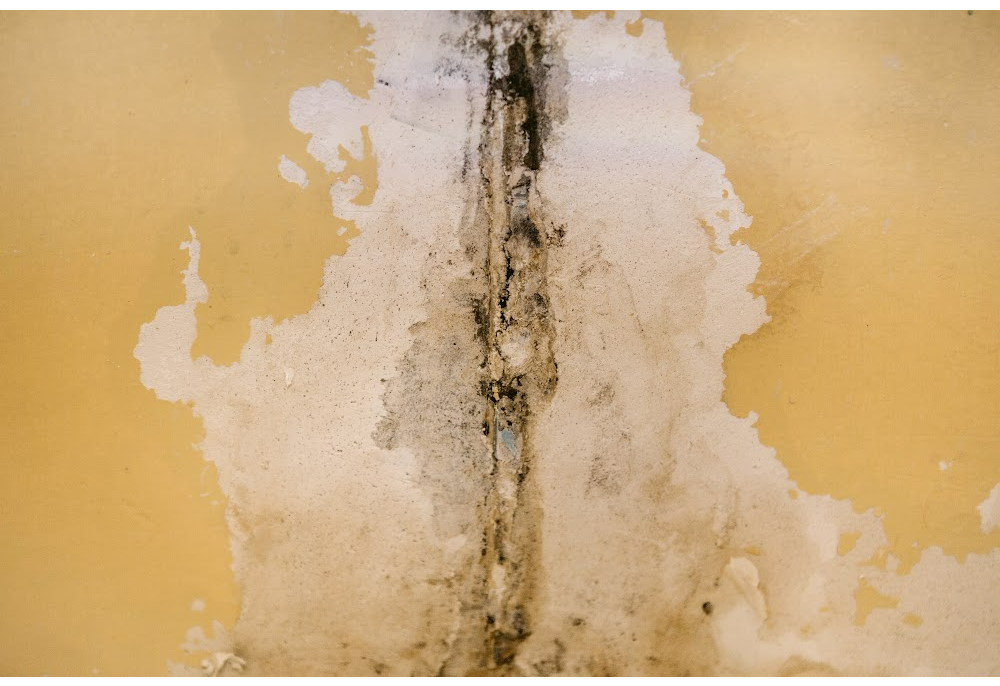 house with mold for sale in Los Angeles