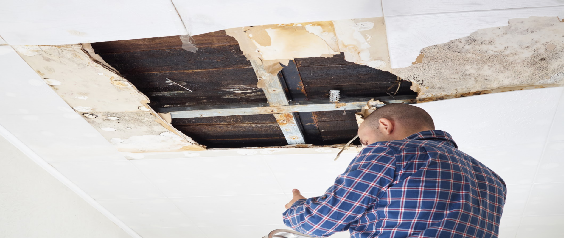 sell a home with mold damage in Los Angeles