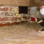 Understanding Termite Treatment Expenses for Glendale Homes