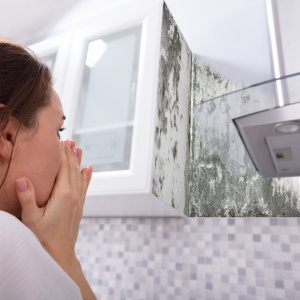 When to Consider House Mold Remediation Los Angeles