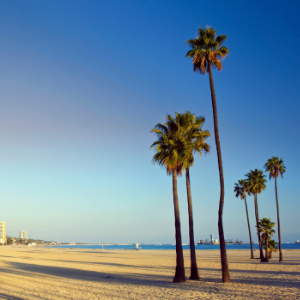 Repairing house to sell fast Long Beach