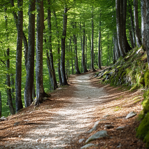 Quick Facts Covina, CA