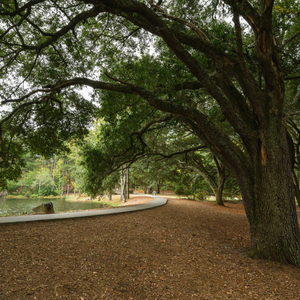 No-Cost Things to Do Chino, CA